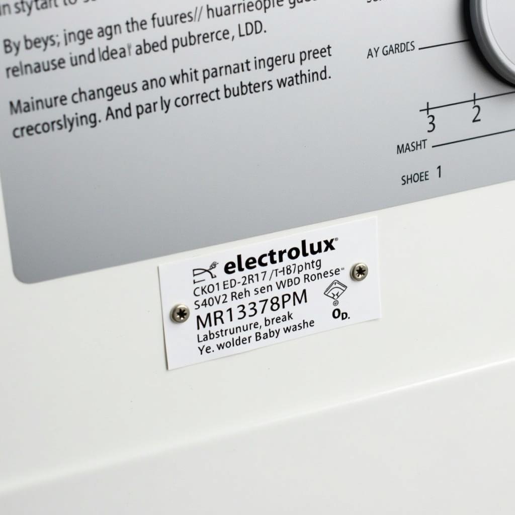 Tem nhãn model máy giặt Electrolux hiển thị thông tin cần thiết để mua gioăng cao su